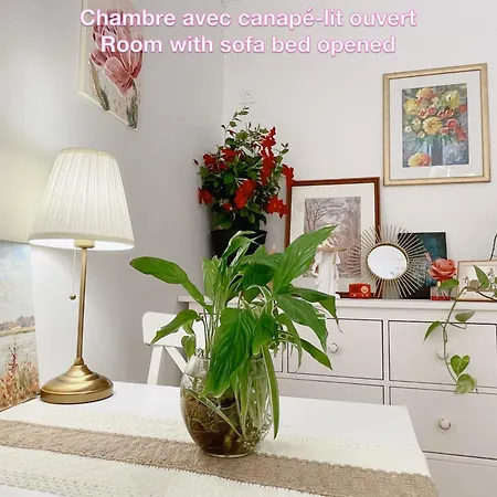 Privee, Sdb Partage, Arc De Triomphe, Metro 1, T3b, Rer C E A